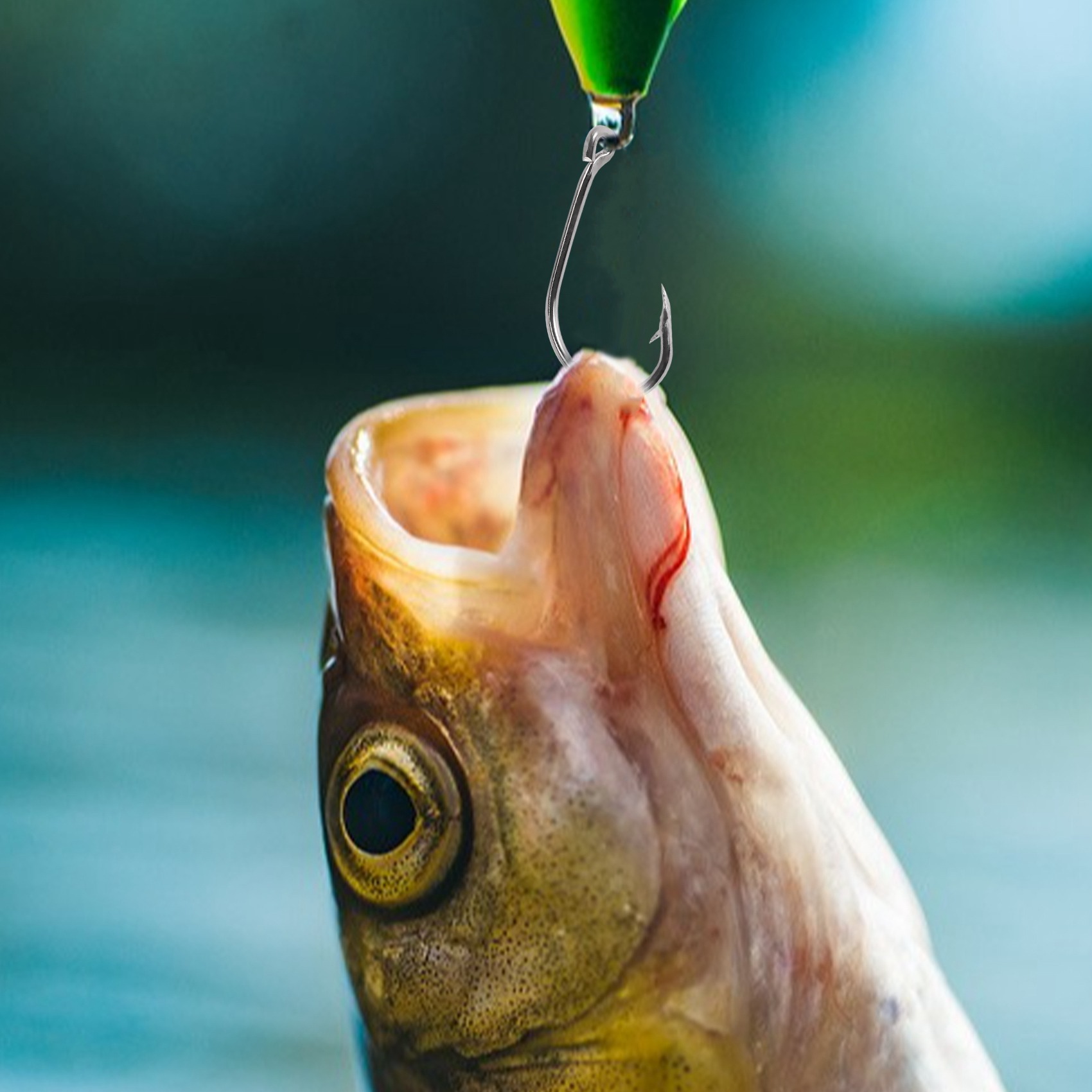 Nowość 500 szt./zestaw, miesza – Fishing Hook Box recenzja i cena