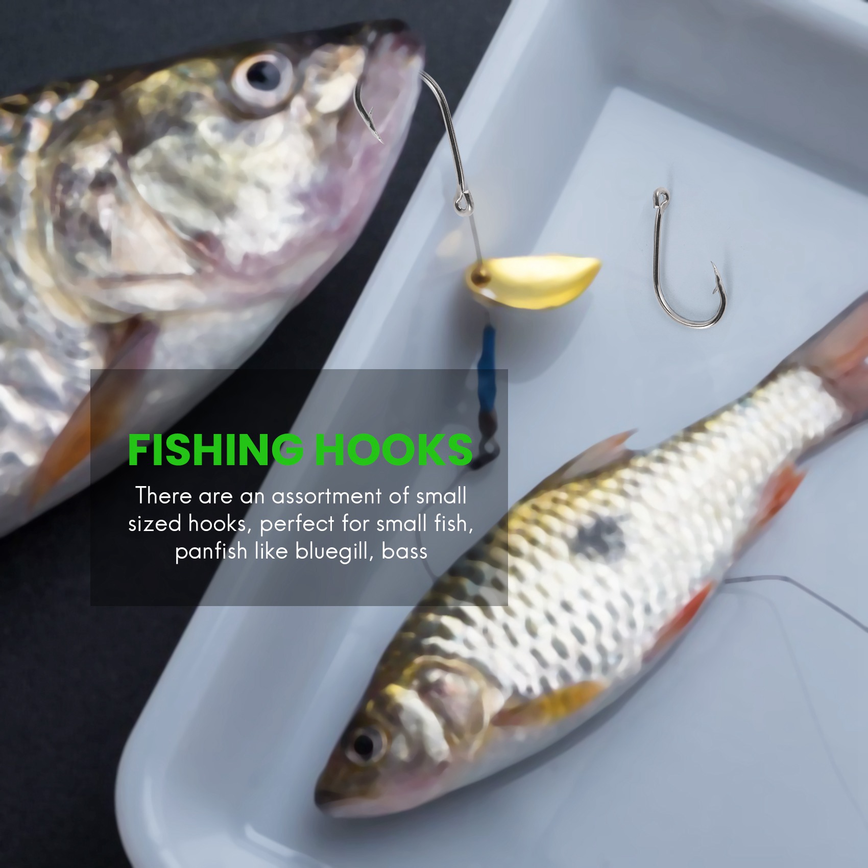 Nowość 500 szt./zestaw, miesza – Fishing Hook Box recenzja i cena